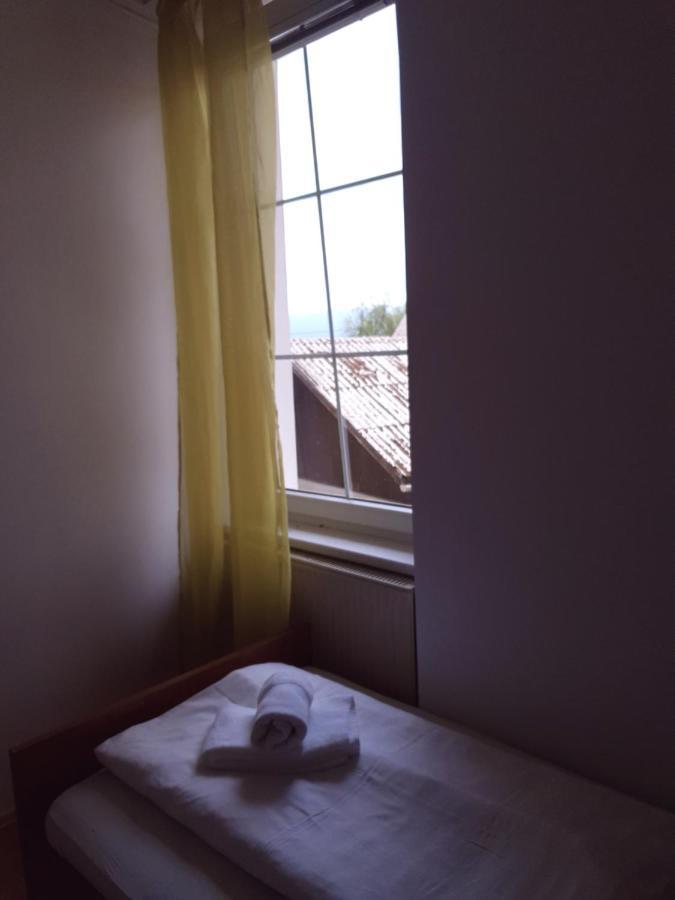 Guesthouse Osvald Zirovnica Exterior foto